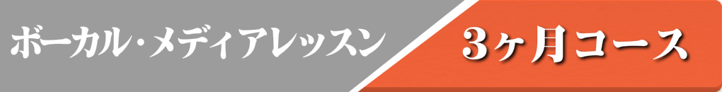ボーカル・メディアレツスンのバナー