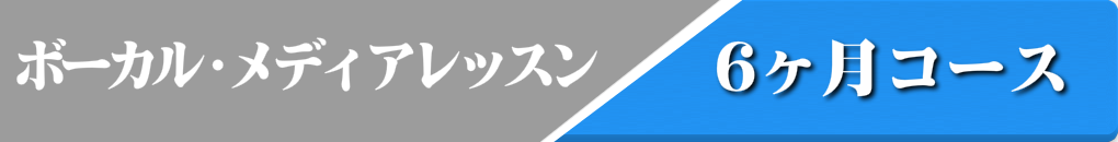 ボーカル・メディアレツスンのバナー